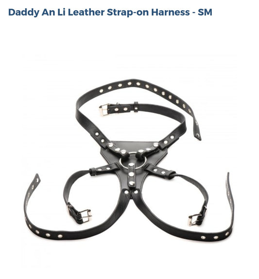 Daddy Ali Leather Strap-On Harness - SM
