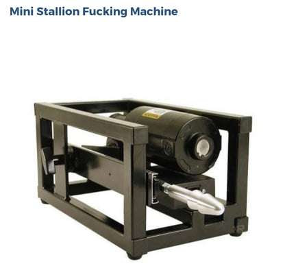 Mini Stallion Fucking Machine